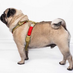 doggie apparel double webbing harness