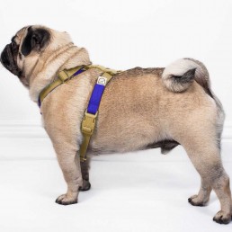 doggie apparel double webbing harness