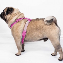 doggie apparel double webbing harness