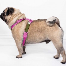 doggie apparel double webbing harness