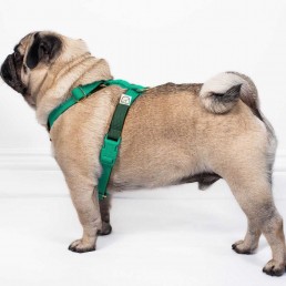 doggie apparel double webbing harness