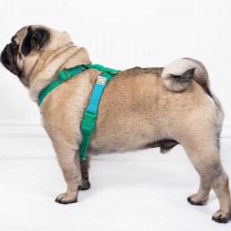 doggie apparel double webbing harness