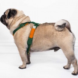 doggie apparel double webbing harness