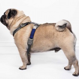 doggie apparel double webbing harness