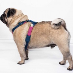 doggie apparel double webbing harness