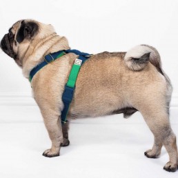 doggie apparel double webbing harness