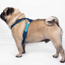 doggie apparel double webbing harness