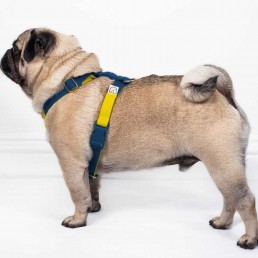 doggie apparel double webbing harness