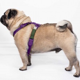 doggie apparel double webbing harness