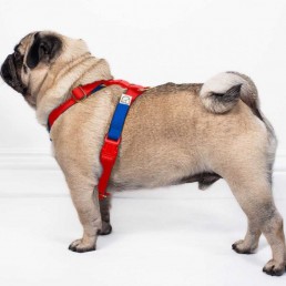 doggie apparel double webbing harness