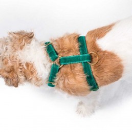 'union' green velvet harness
