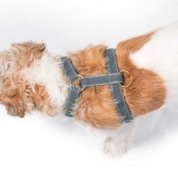 'turner' grey velvet harness