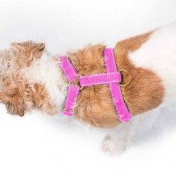 'queen' pink velvet harness