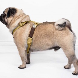 doggie apparel double webbing harness