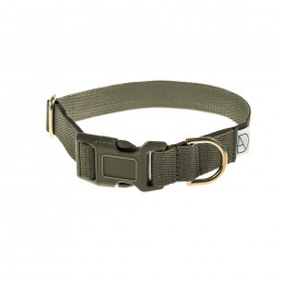 Luxury Dog Collar