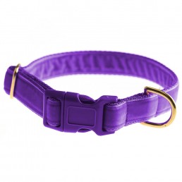 luxury dog collar