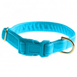 luxury dog collar