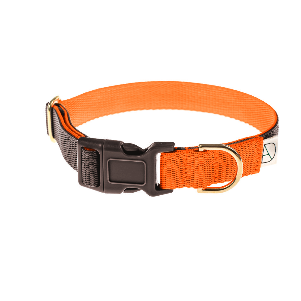 luxury dog collar
