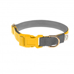 yellow dog collar / grey dog collar