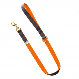 luxury dog lead