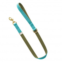 sky blue lead / olive green lead