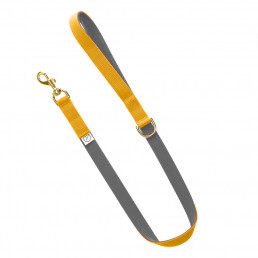 grey dog lead / yellow dog lead