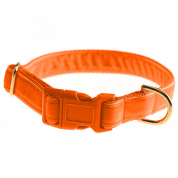 Luxury dog collar