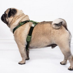 luxury made to measure, bespoke dog harness