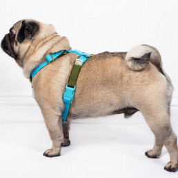 luxury made to measure, bespoke dog harness