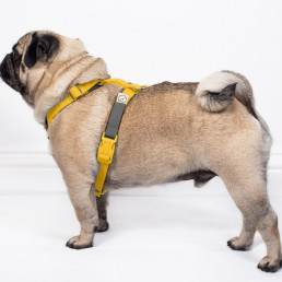 luxury made to measure, bespoke dog harness